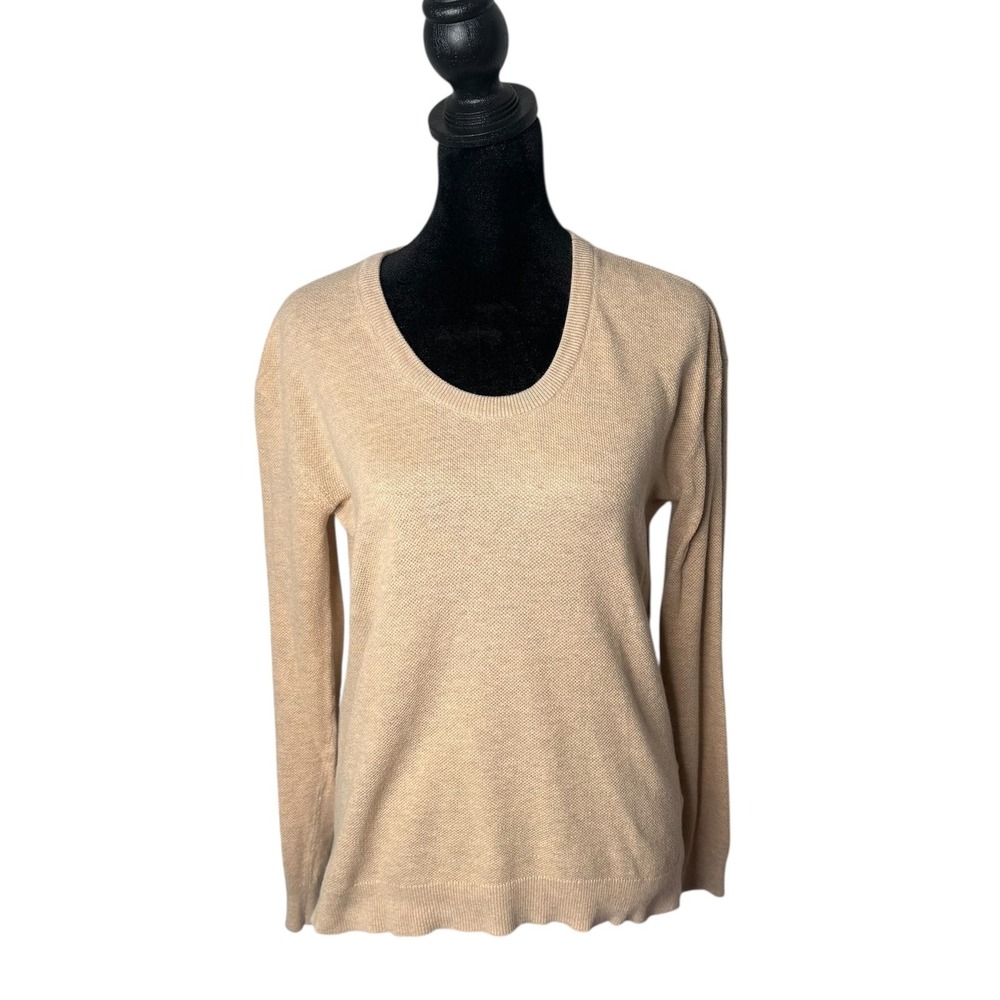 EVERLANE Cotton Cashmere Knit Top Womens S Sweater Pullover Minimalist Casual